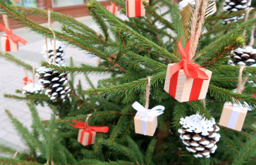 Vánoční stromečky na prostějovském náměstí