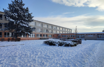 Individuální konzultace