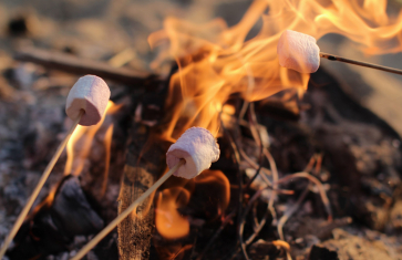 Veselé sportovní odpoledne