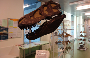 Nabídka studia pro maturanty