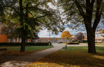 Třídní schůzky a individuální konzultace
