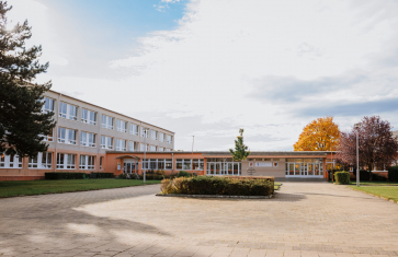 Individuální konzultace