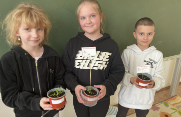 Komu se nelení, tomu se zelení