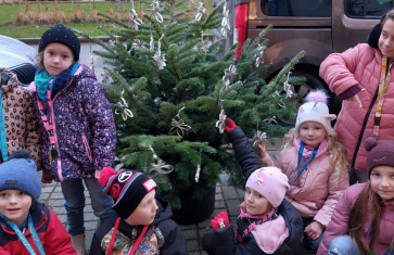 Zdobení vánočních stromečku na náměstí