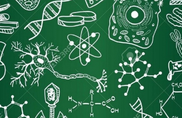 Krajské kolo biologické olympiády 2025 - kategorie A a B