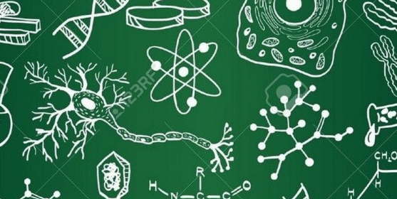 Okresní kolo biologické olympiády – kategorie C