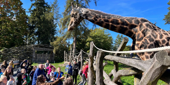Dotyková zoo