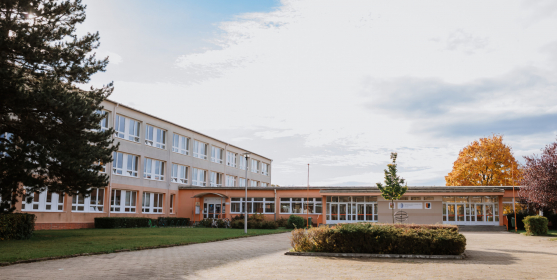 Třídní schůzky a individuální konzultace